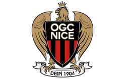 Nice Logo